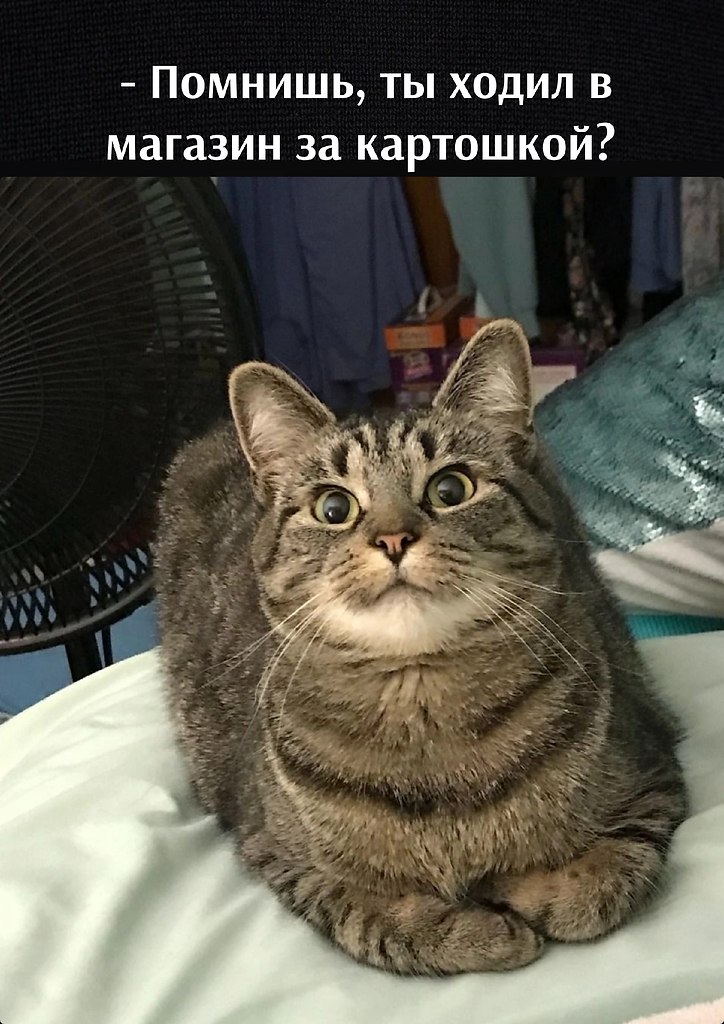 =