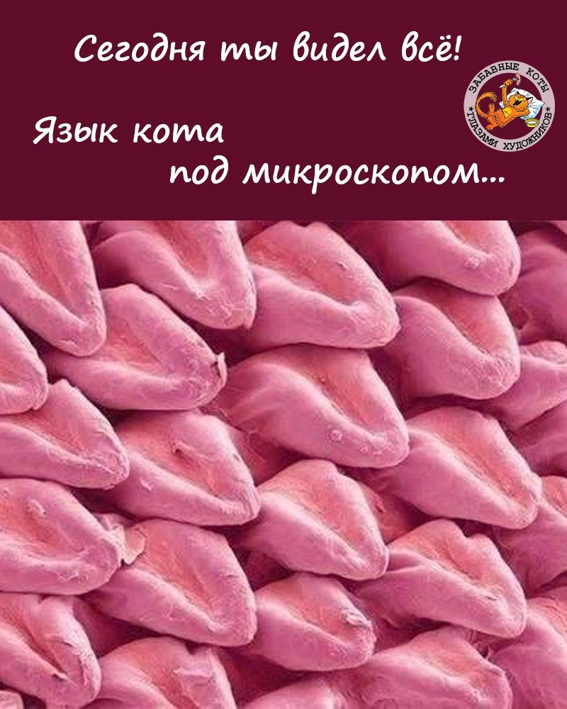  - 9  2023  13:39