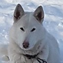 ���� �����, ���������, 65 ��� - ��������� 5 ������� 2025 � ������ ���� ����������