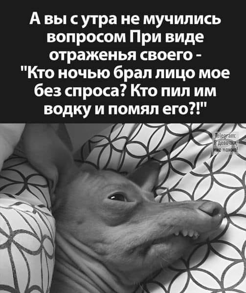 ***Victoria Viktorovna*** - 29  2024  04:26