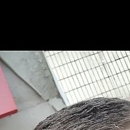 ������, 43 ����, �����