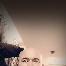 , 43, 