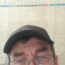 , 54, 