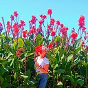 ���� �����, ������ - ��������� 13 �������� 2024 � ������ ������ ��������