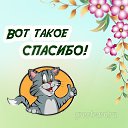 ���� �������, �����-���������, 62 ���� - ��������� 27 ������ 2026