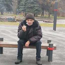 , 65, 