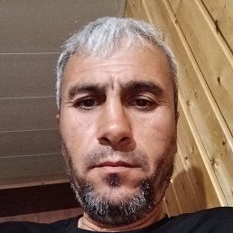 �����, ���������, 41 ���