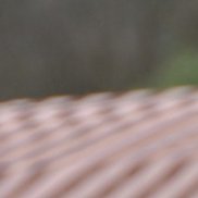 �������, 45 ���, ��������