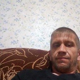 , 44 , -