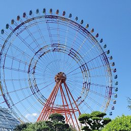 �����, ����, 40 ���