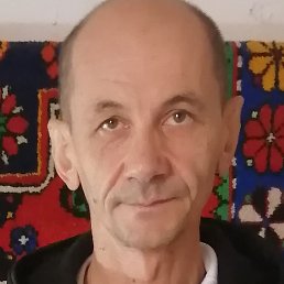 �����, ������, 37 ���