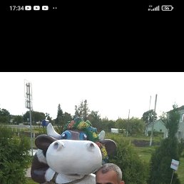 , 55, 