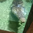 ���� �������, �������, 36 ��� - ��������� 21 ������� 2025 � ������ ���� ����������