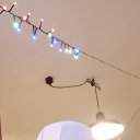 ���� ������, ������, 39 ��� - ��������� 1 ������ 2026 � ������ ���� ����������