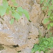 ����, 57 ���, ������