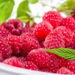 ���� ��� �, ������ - ��������� 9 ����� 2024