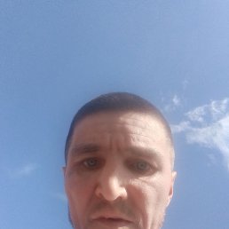 ���������, 38 ���, �������