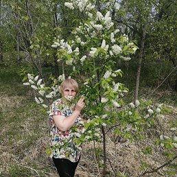 , 52, 