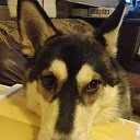  , --, 58  -  8  2024    