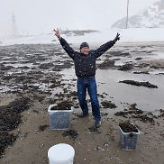 �������� �������, 41 ���, ������