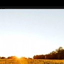 ���� ����, ������-��-����, 37 ��� - ��������� 16 ������� 2025 � ������ ���� ����������