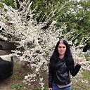 ���� ������, �����, 35 ��� - ��������� 10 ��� 2026 � ������ ���� ����������