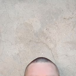 , 35, 