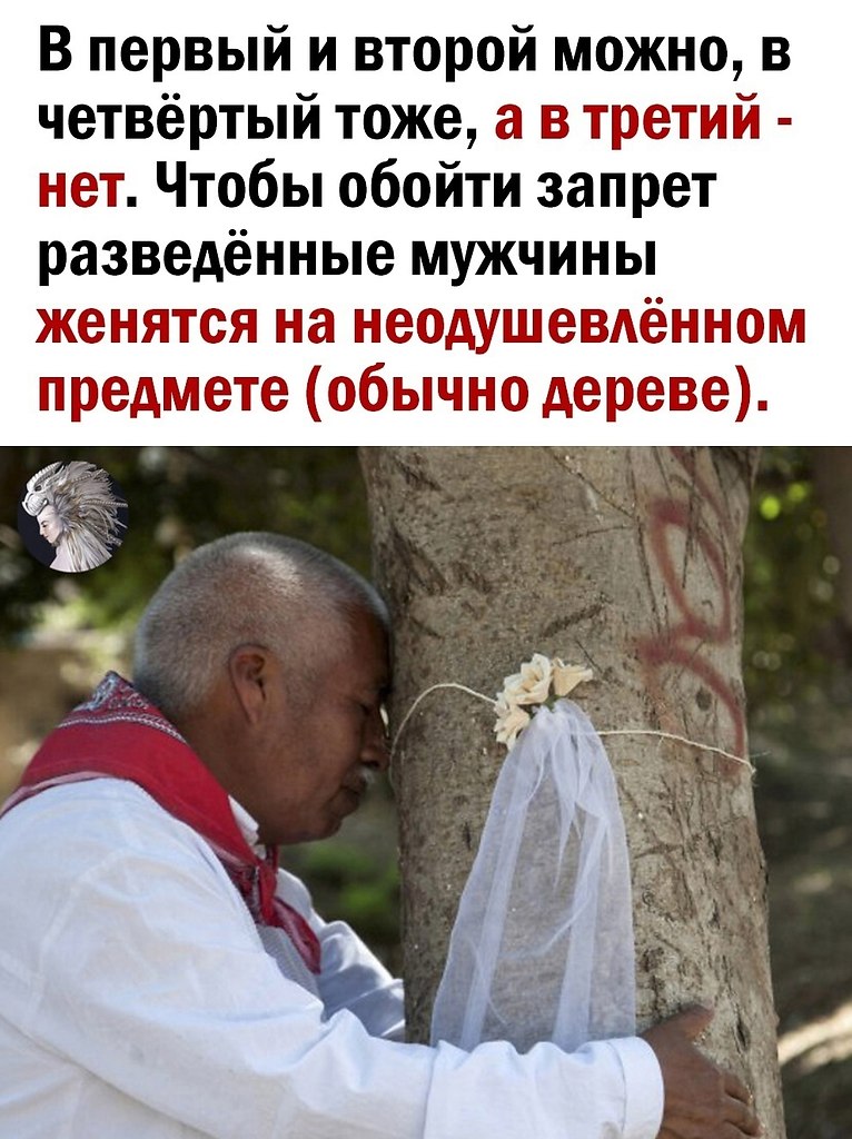 Женитьба на дереве в индии. Замуж за дерево в индии. Свадьба с деревом в индии. Женитьба на дереве. Индия брак с деревом.