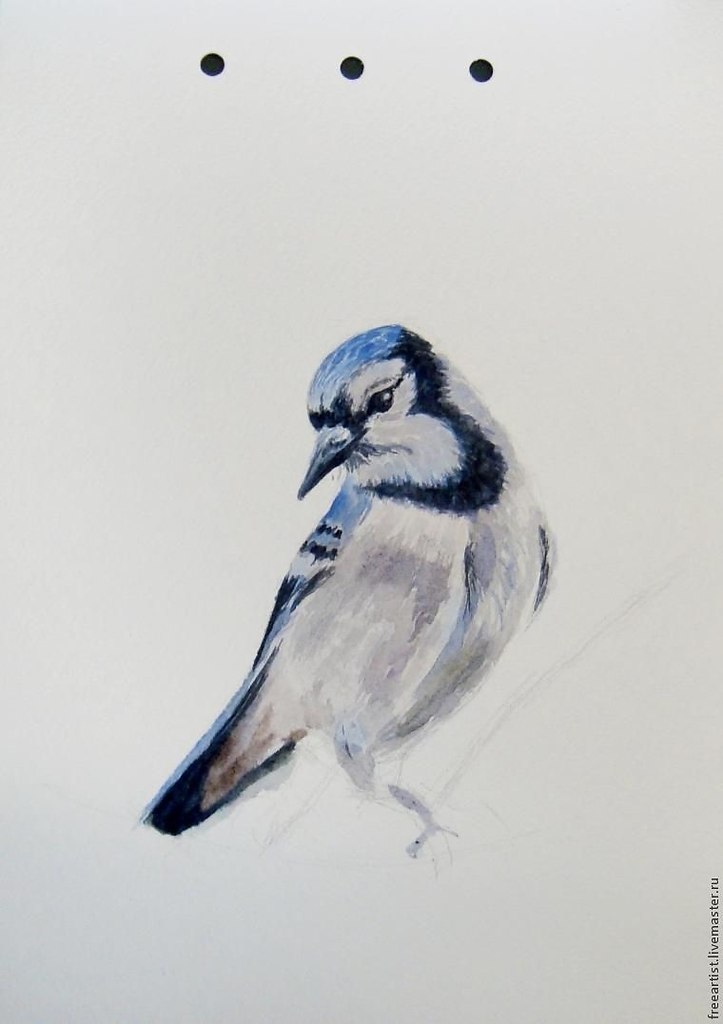  .    :1.  2.   3. ... - 8