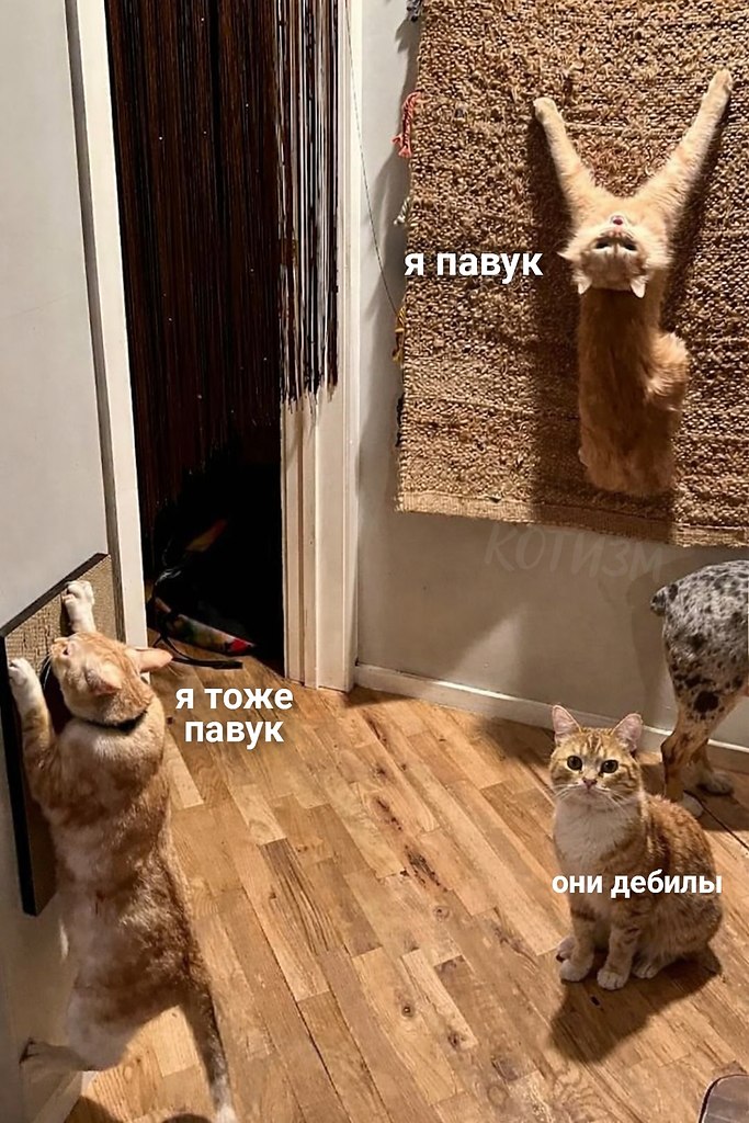 ��� � ����