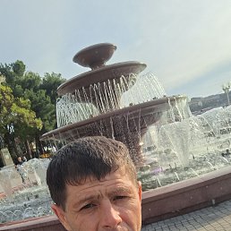 �����, 48 ���, ������