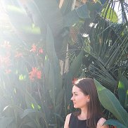 �����, 37 ���, ����������