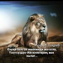 ���� �������, ������, 28 ��� - ��������� 7 ����� 2024 � ������ ���� ����������