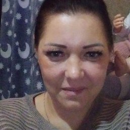 �����, ��������, 40 ���