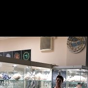 ���, 49 ���, �������