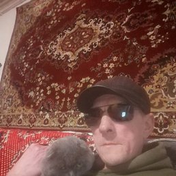 ���� ����, ������, 55 ��� - ��������� 7 ������� 2023