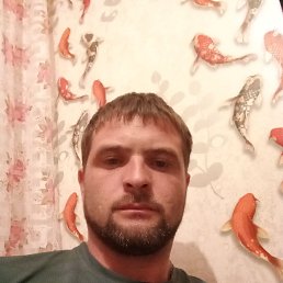 , 33, 