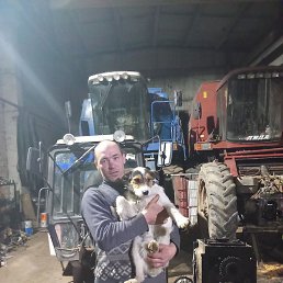 ������, ������, 41 ���