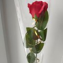 ���� ��������, ������, 59 ��� - ��������� 2 ������ 2024 � ������ ����� ������ �������