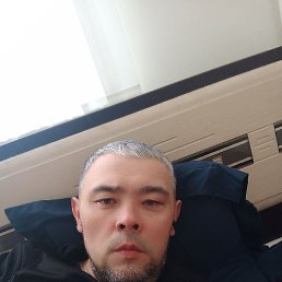 , 44, 