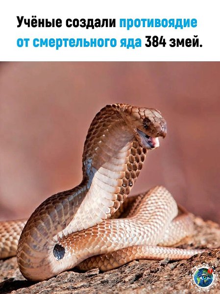  |  |   5 - 28  2024  21:39