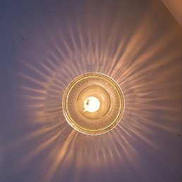 �����, �����������