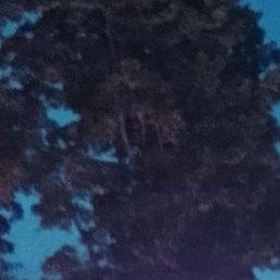, , 28 