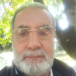  Sultan, , 69  -  17  2025