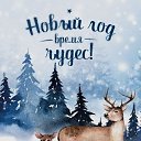 ���� ��������, ����, 51 ��� - ��������� 23 ������� 2025 � ������ ���� ����������