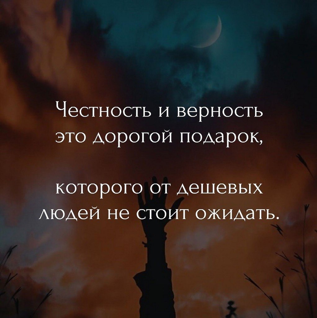  | Wisdom & Beauty - 25  2023  12:39