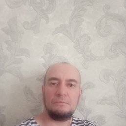 , 44, 