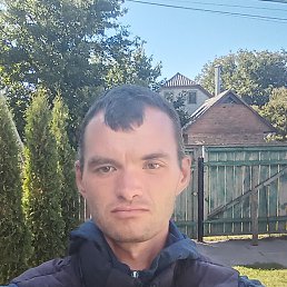 , 29, 