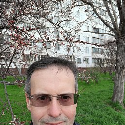  Alex, , 48  -  25  2025