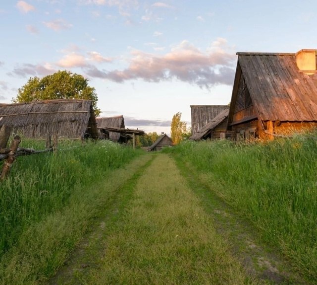    ,    .  -  -   , ... - 5